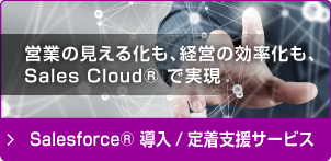 Salesforce® 導入/定着支援サービス